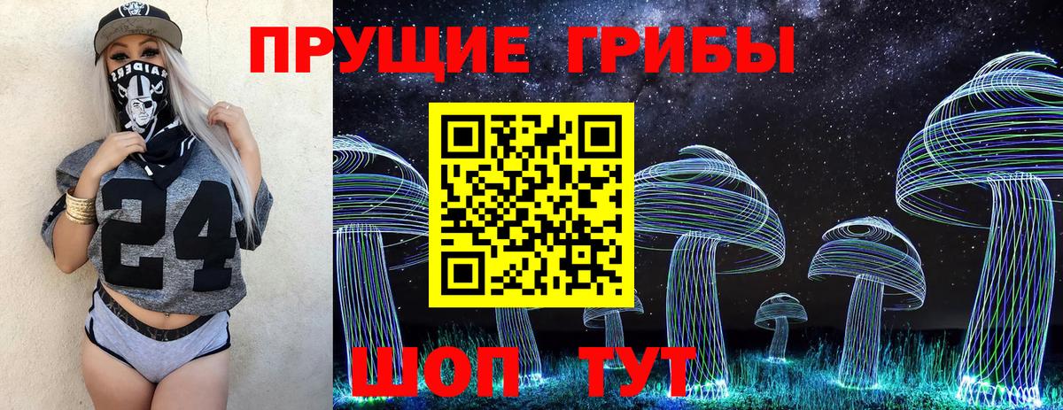 Псилоцибиновые грибы мицелий Верхняя Салда