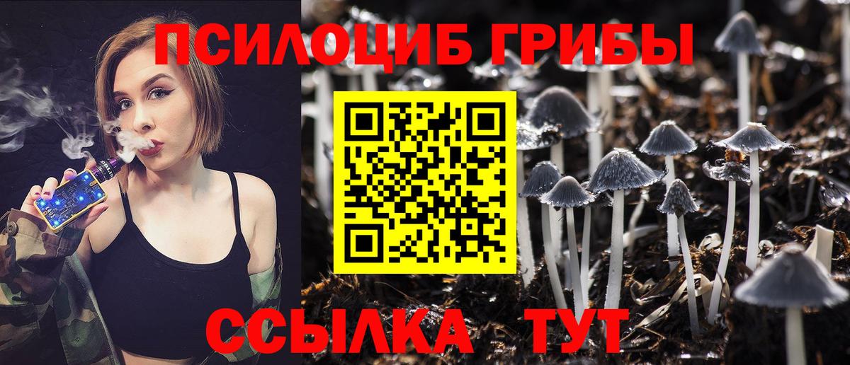 Псилоцибиновые грибы MAGIC MUSHROOMS  купить наркотик  Вход с VPN  Верхняя Салда  Псилоцибиновые грибы MAGIC MUSHROOMS 