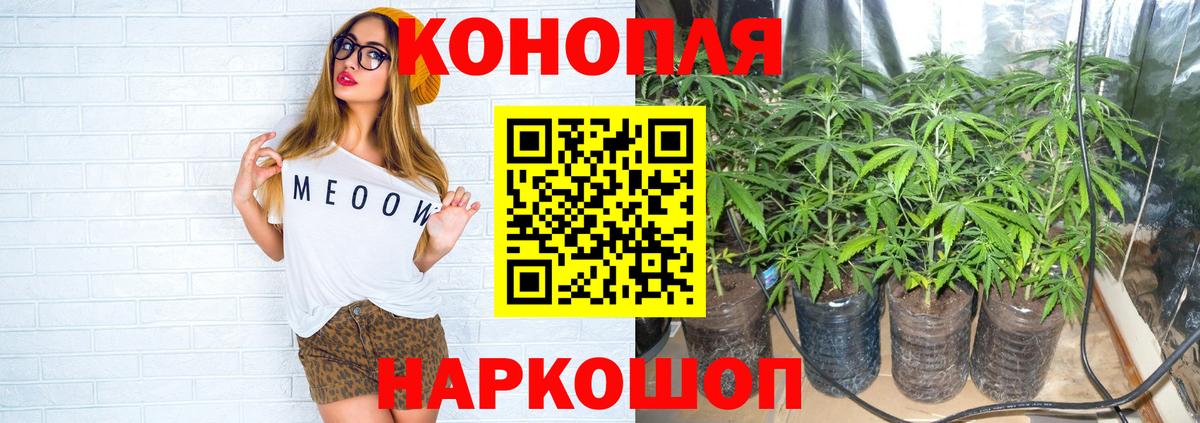Канабис планчик Верхняя Салда