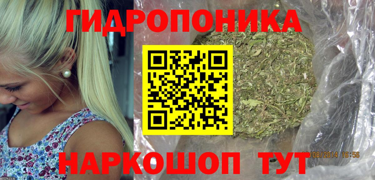 Канабис гибрид  Каннабис MAZAR  Бошки марихуана семена  Вход с VPN  Каннабис индика  Верхняя Салда 